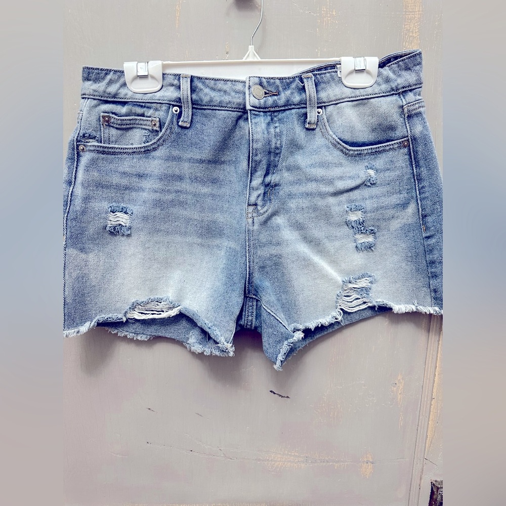 Time and Tru Cutoff Shorts - Denim (size 10)